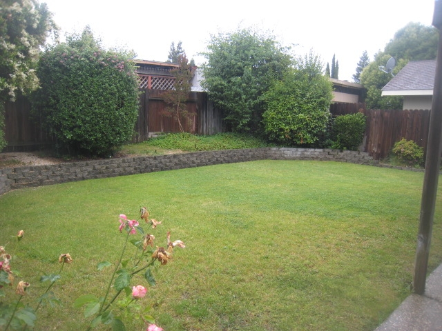 Large backyard.