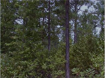  Satilla Avenue, Nahunta, GA