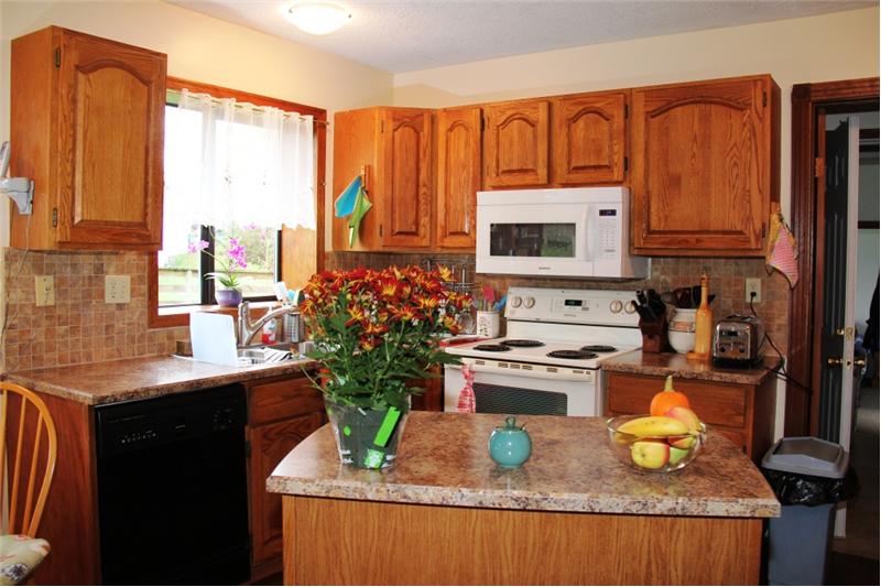3990 Cedar Hill Rd. Saanich BC, kitchen