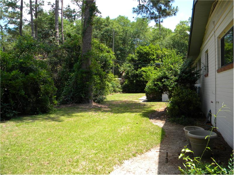 Large Backyard