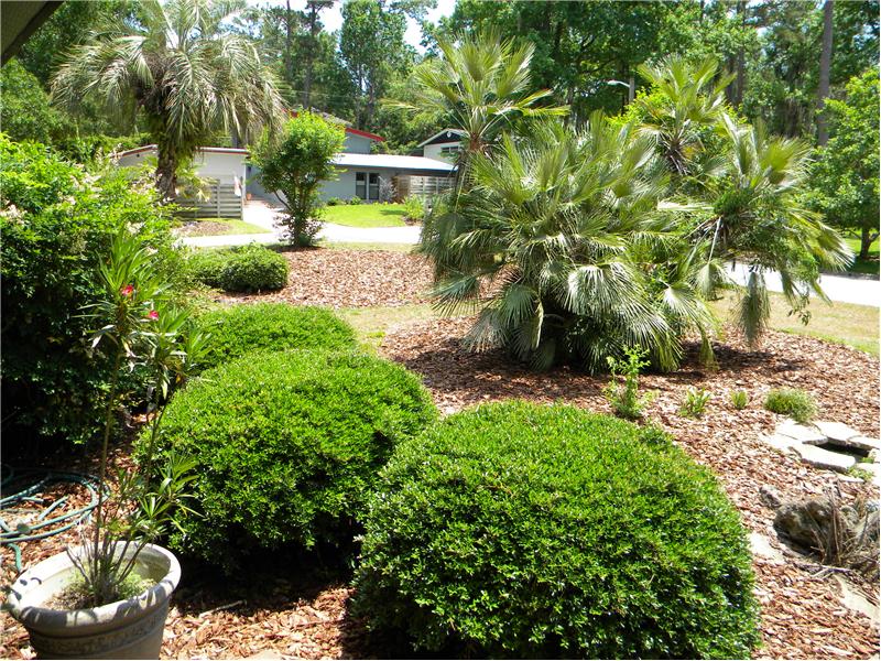 Front Yard Landscape