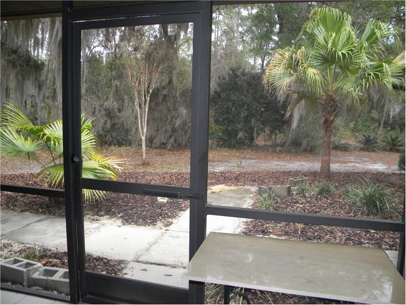 Patio View