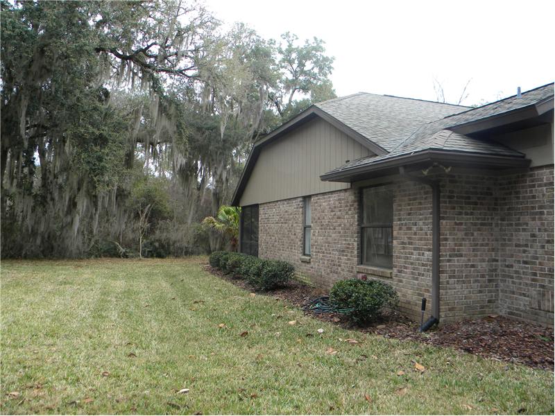Side View