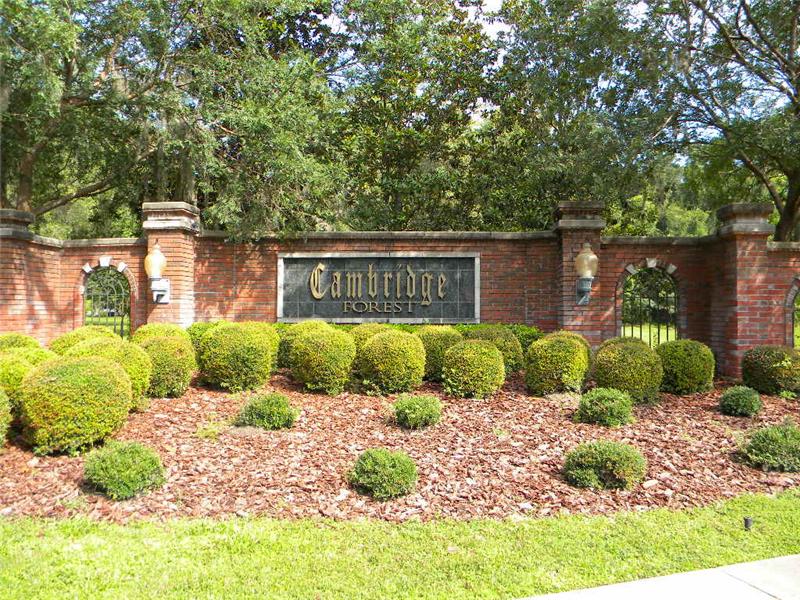 Cambridge Forest Entrance