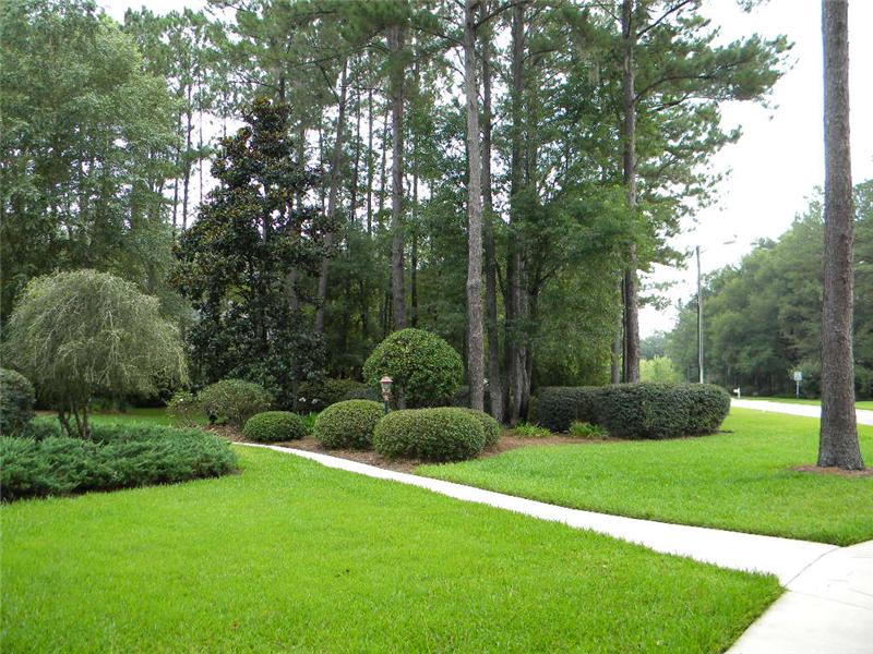 Front Yard