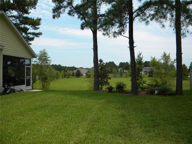 Beautiful Back Yard