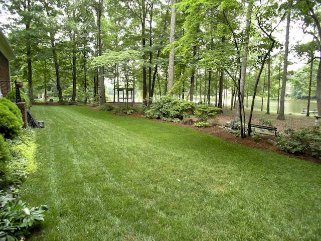 Backyard view of the lake
