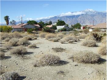  Lot 25 Ambrosio, Desert Hot Springs, CA
