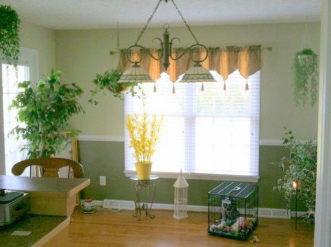 Freshly Painted, Hardwood Floors