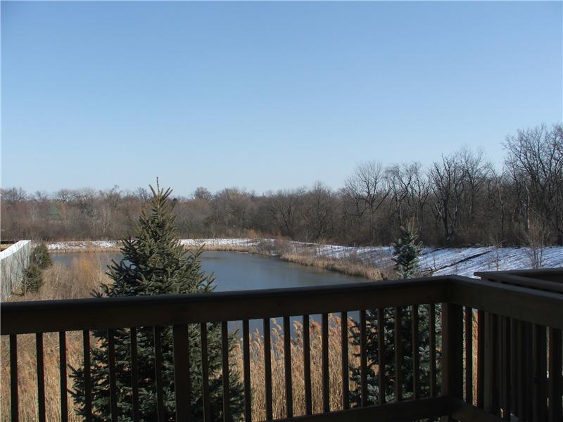 Deck View