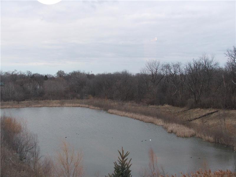 View From Master Suite