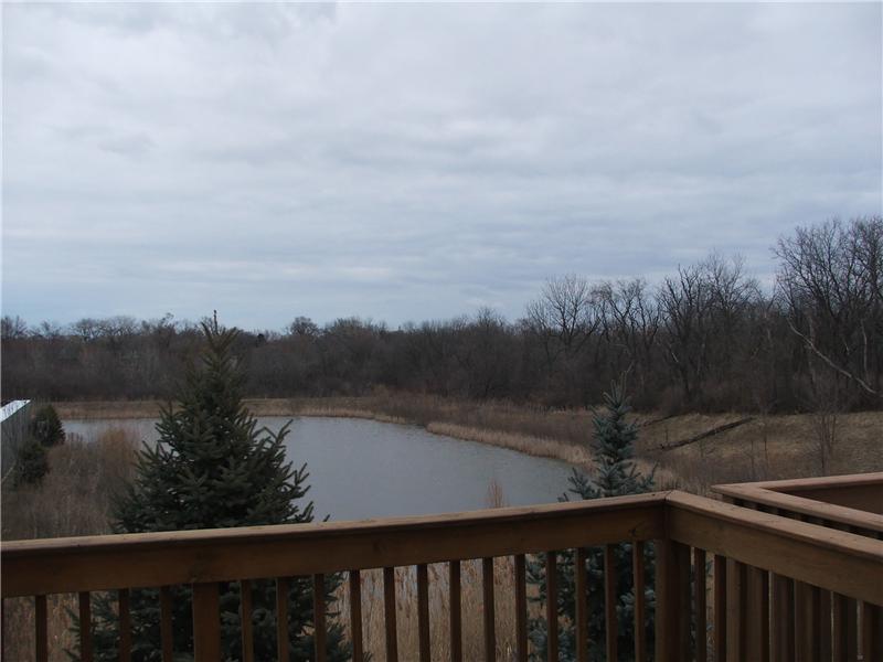 Deck With A Pond
