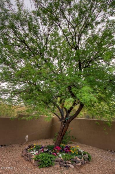 Desert Hills 3 Bedroom Horse Property
