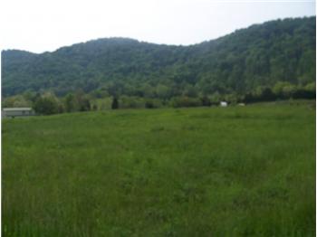  Shephards Chapel Road, Rogersville, TN