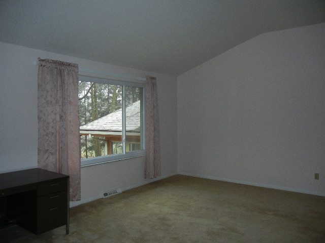 Living room with vaulted ceiling overlooks the wooded back yard.