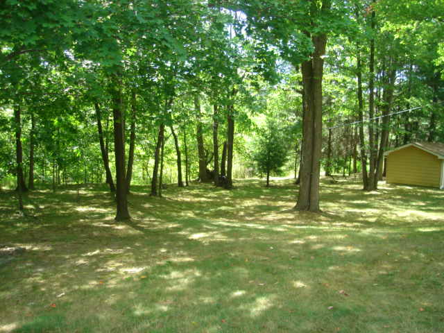Gorgeous back yard