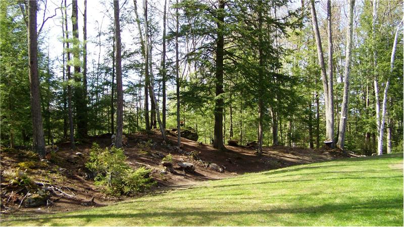 Wooded private lot