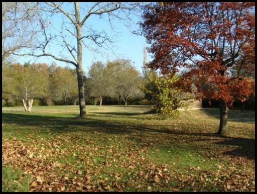 Side Yard