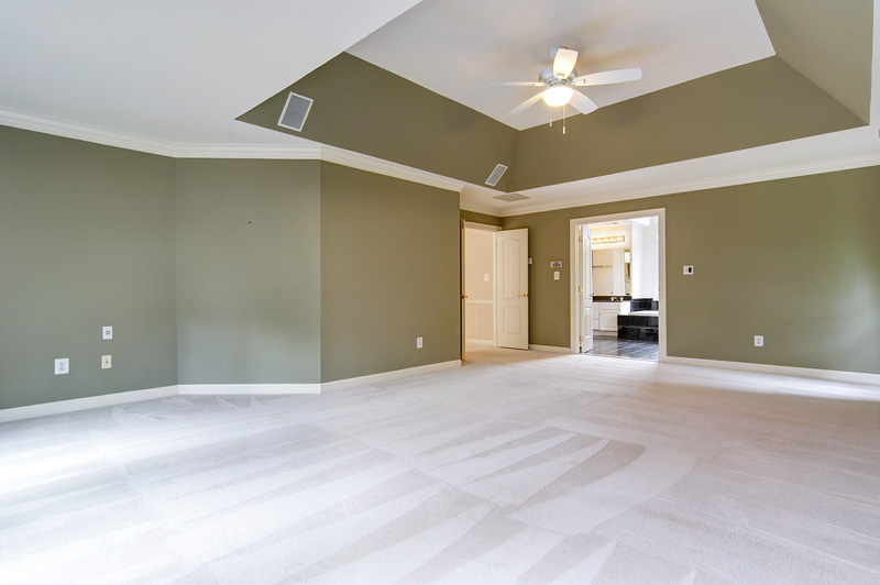 Owners suite wi/tray ceiling