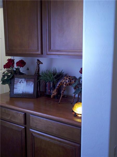Cabinetry in Hallway