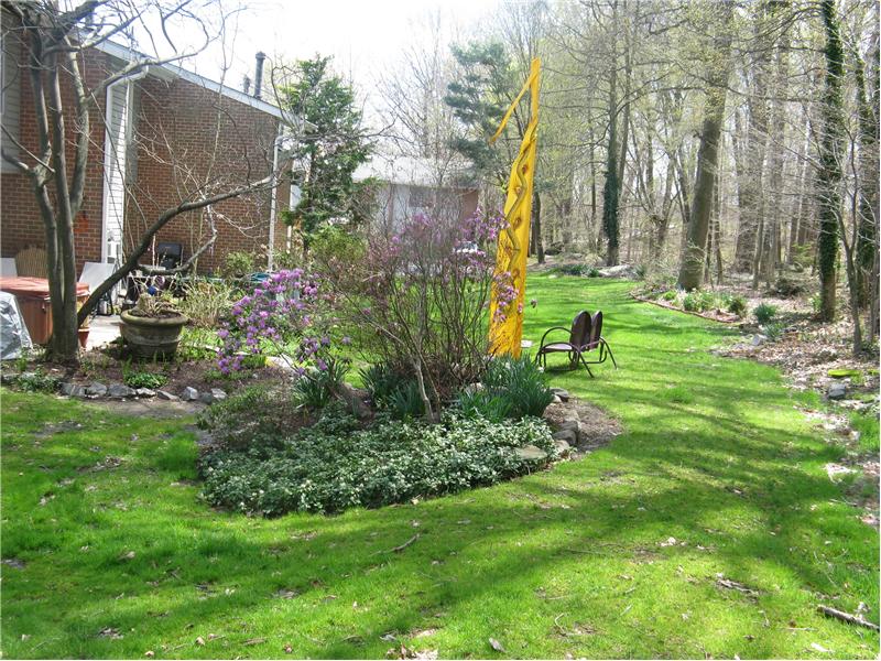 Back Garden
