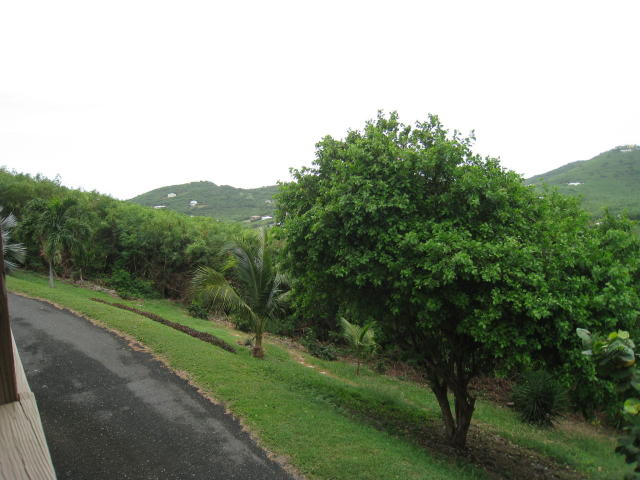 .54 Acre Lot with Custom Landscaping, Auto Drip & Gravity Feed Watering