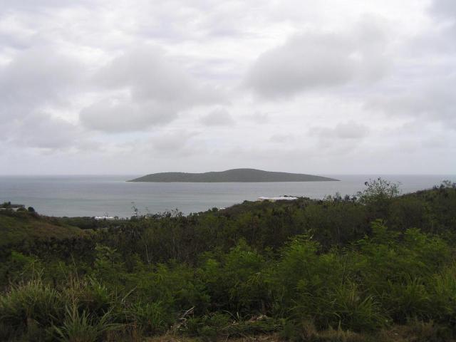 Gorgeous Buck Island Views!