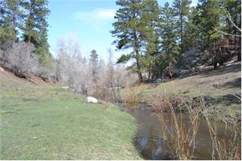  20541 Buckhorn Rd, Bellvue, CO
