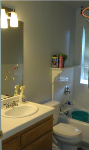 Master 3 Bathroom