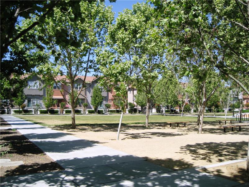 OConnor Park - Convenient for Walking Dogs!