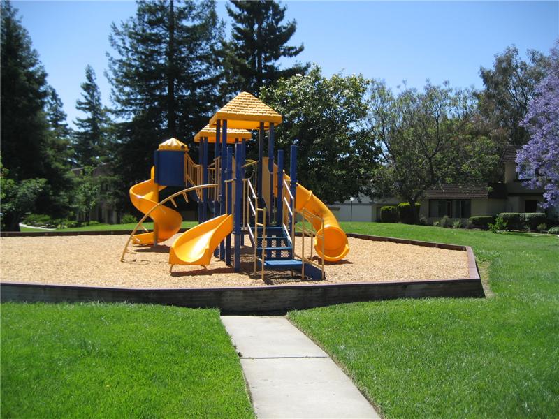 Play Area