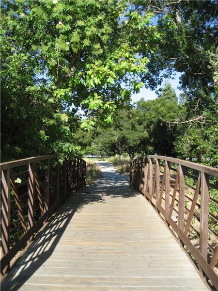 Bridge Leads to City Park