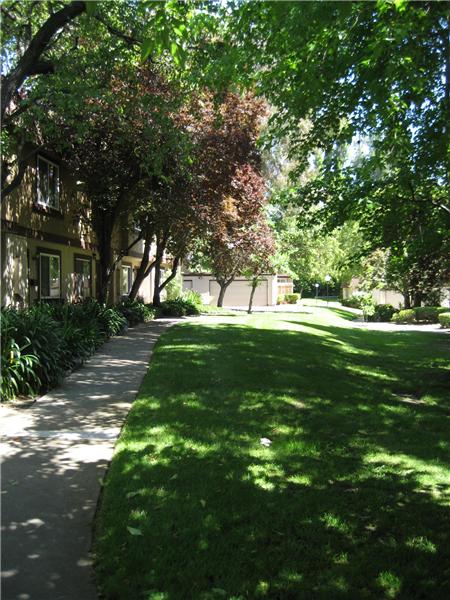Front Common Area 