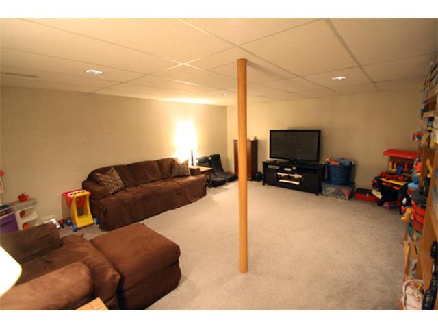 Finished Lower Level