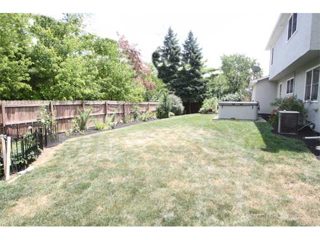 Yard/Garden