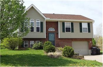  50 Otter, Covington, KY