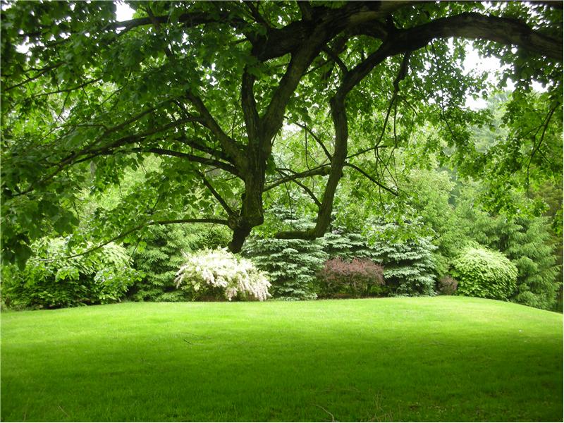 Privacy Hedges