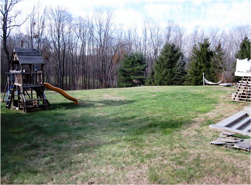 Playgym and backyard