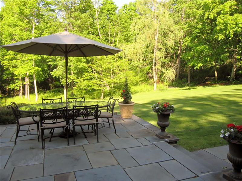 Patio and Yard