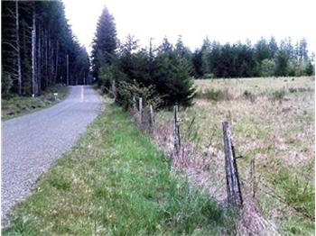  271 E Clay Road, Shelton, WA