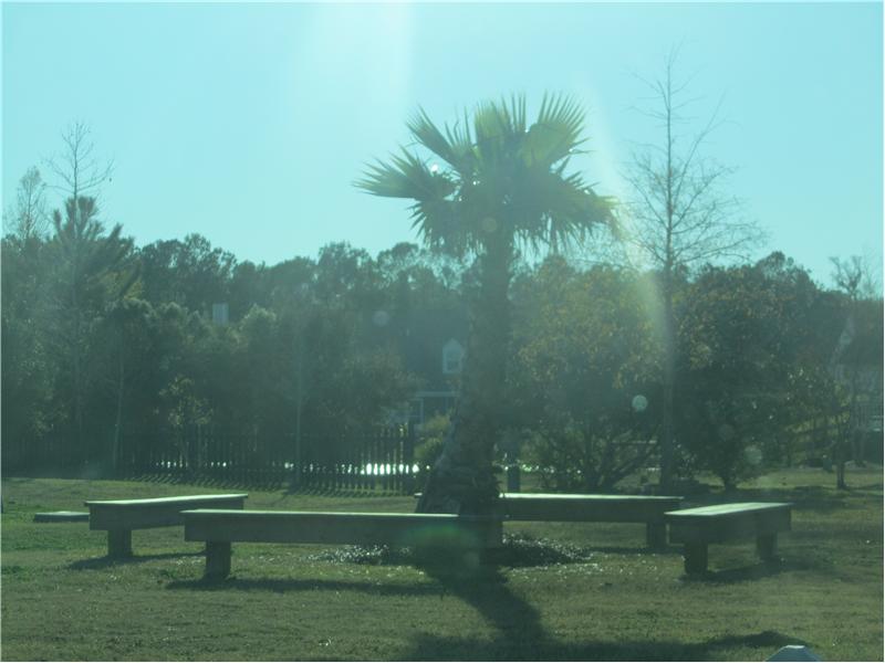 parks thoughout the community