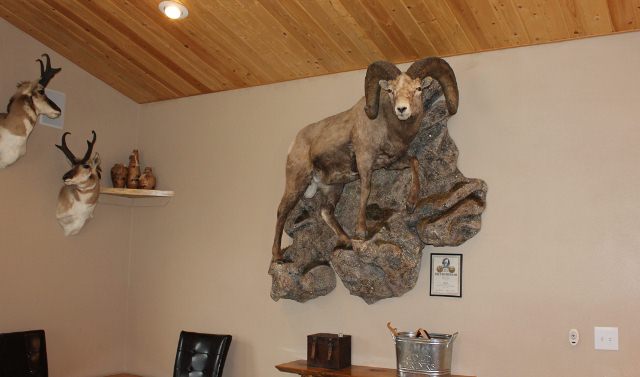 Hunting in Montana