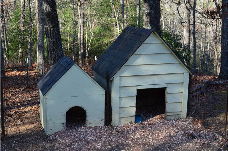 Your Dog Should Be Living Here!!!
