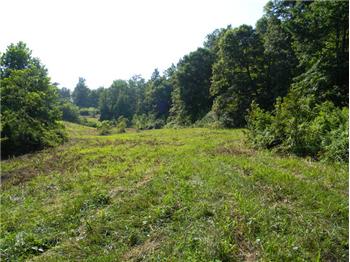  Gainesboro Grade, Cookeville, TN