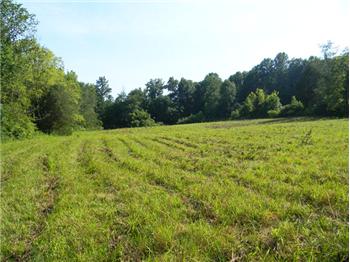  11.15 AC Gainesboro Grade, Cookeville, TN