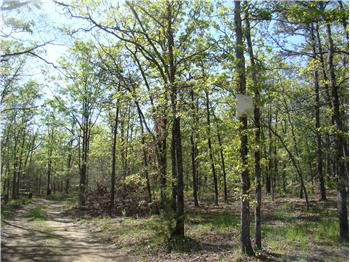  17.5 Acres of Undeveloped Land, Broken, OK